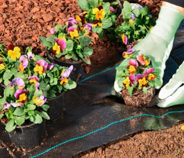 Tkaná podkladová textília GARDENKUS KLC 1,6 × 50 m čierna 100 g/m² 1