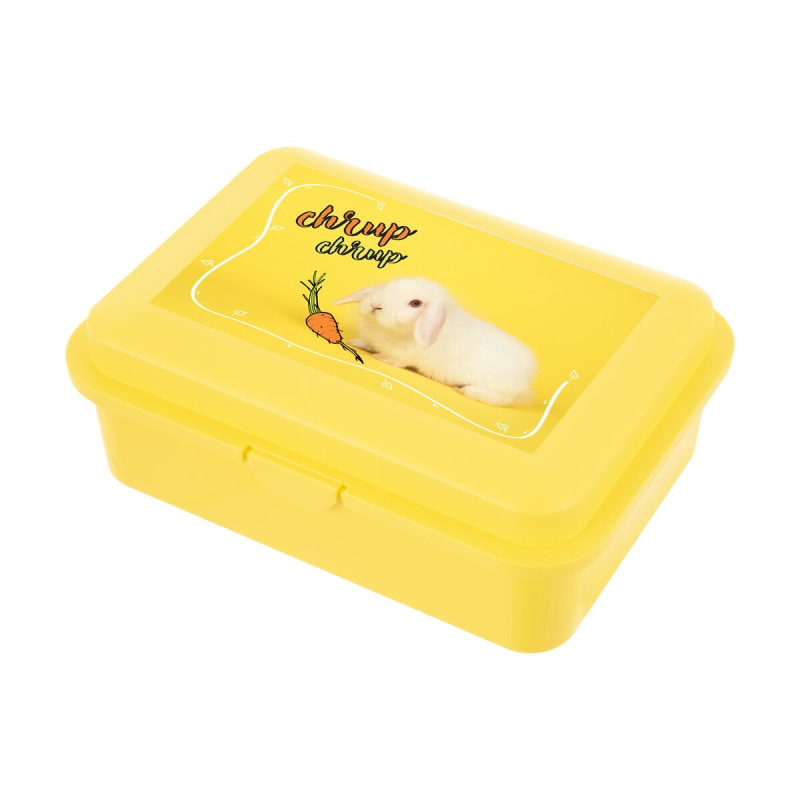 Box na desiatu zajac
