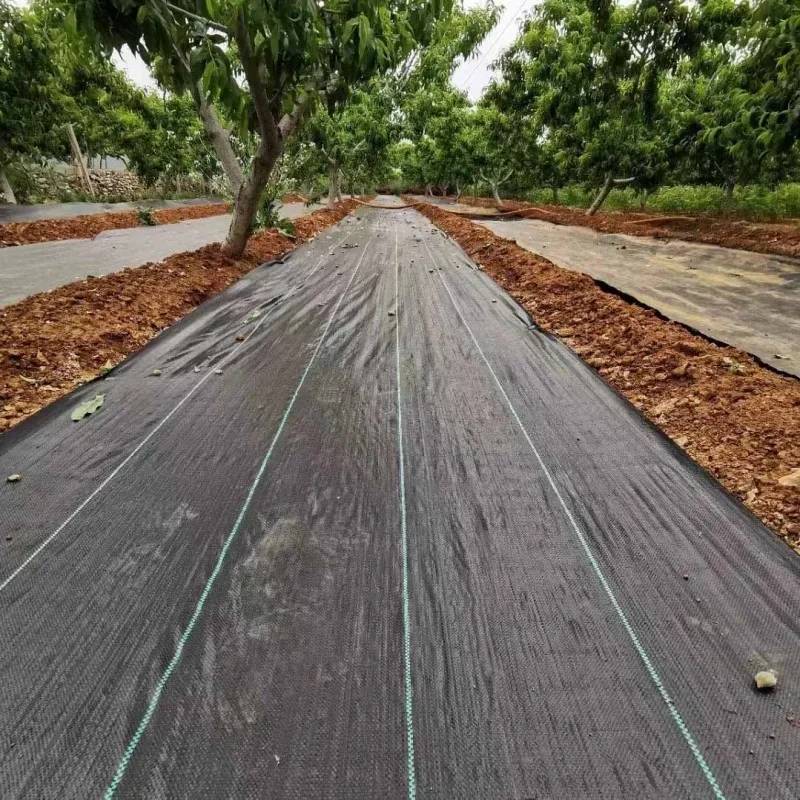 Tkaná podkladová textília GARDENKUS KLC 1,6 × 50 m čierna 100 g/m² 4