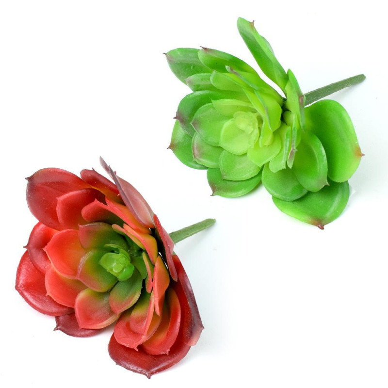 Zapichovacia ozdoba skalnička Echeveria 12 cm