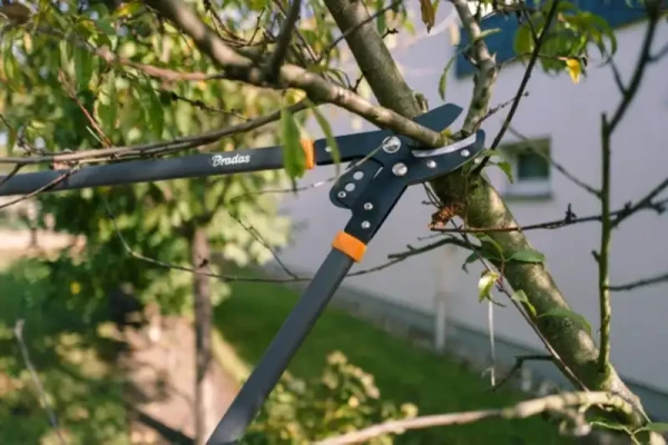Nožnice záhradné na konáre 81cm s prevodom 1