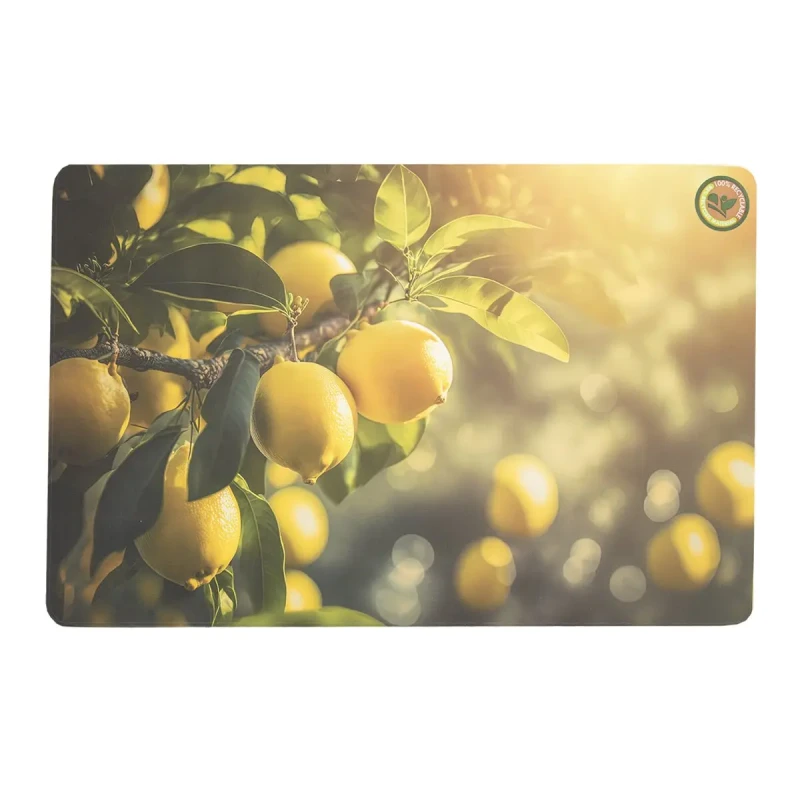 Prestieranie 43,5x28,5 cm ovocie 5