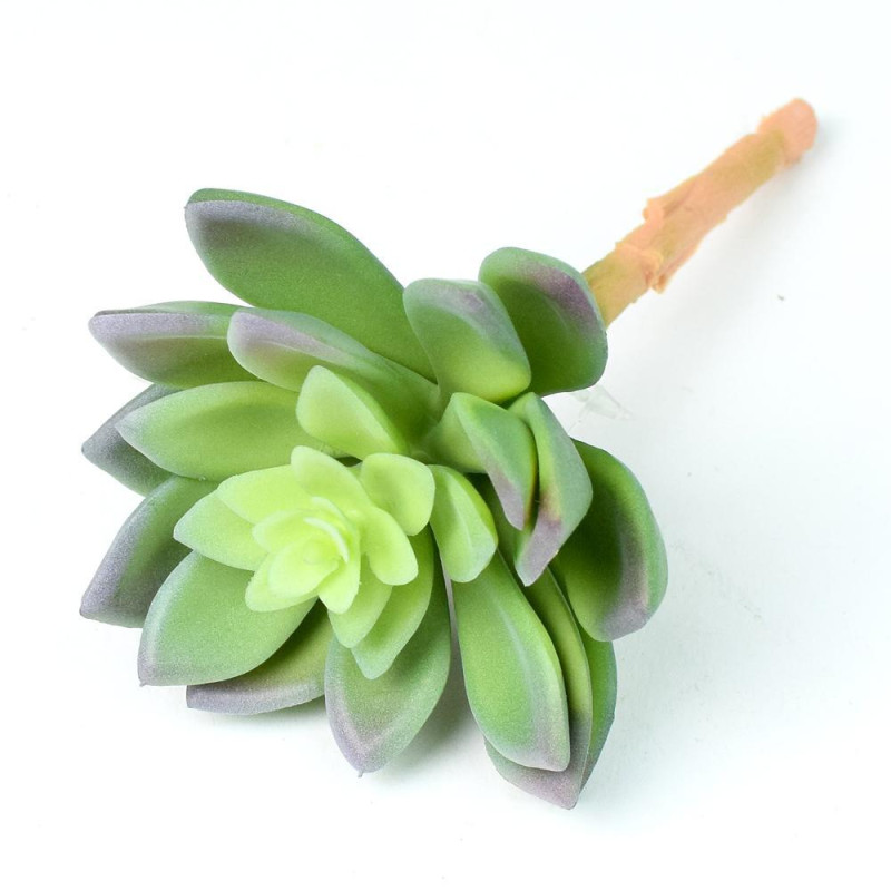 Zapichovacia ozdoba skalnička Echeveria 14 cm