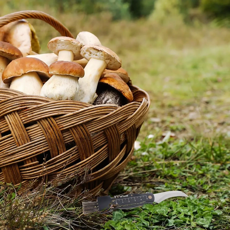 Hubársky zatvárací nôž so štetcom 6 cm 3