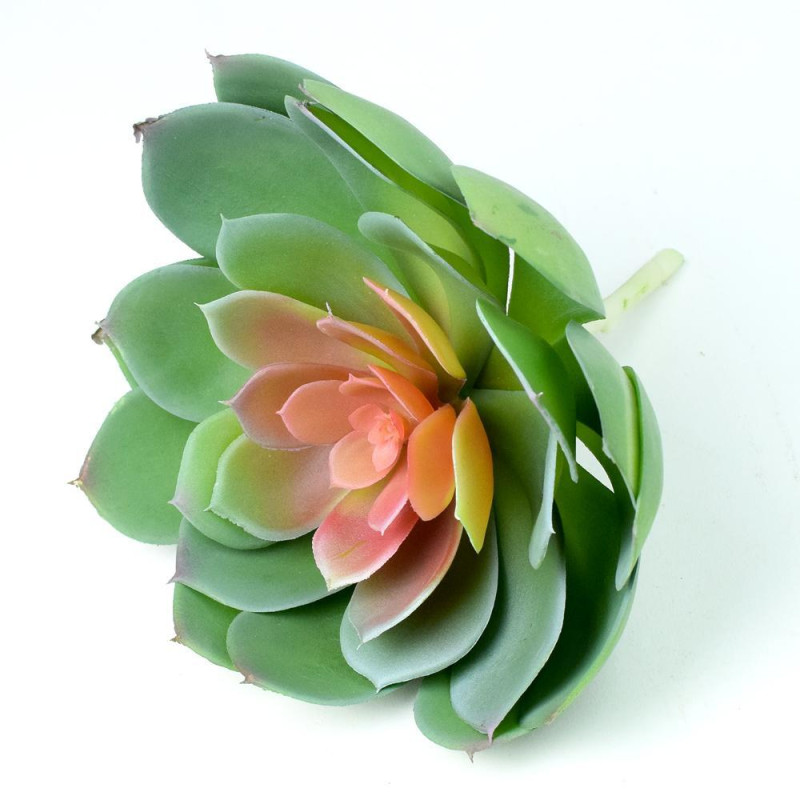 Zapichovacia ozdoba skalnička Echeveria 19x20 cm