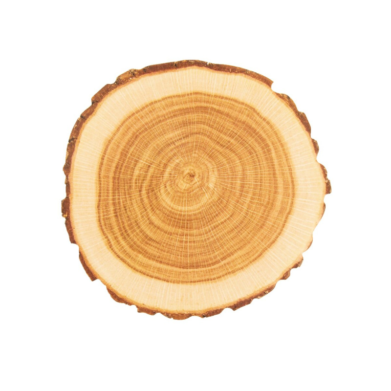 Podtácka WOODEN 10 ks