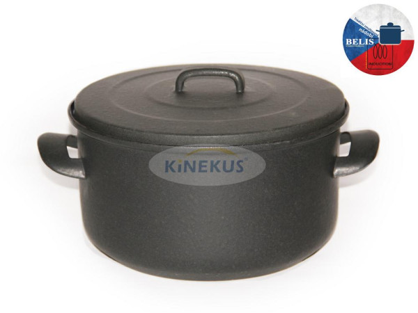 Hrniec smalt + pokr. BSE 24cm/5L